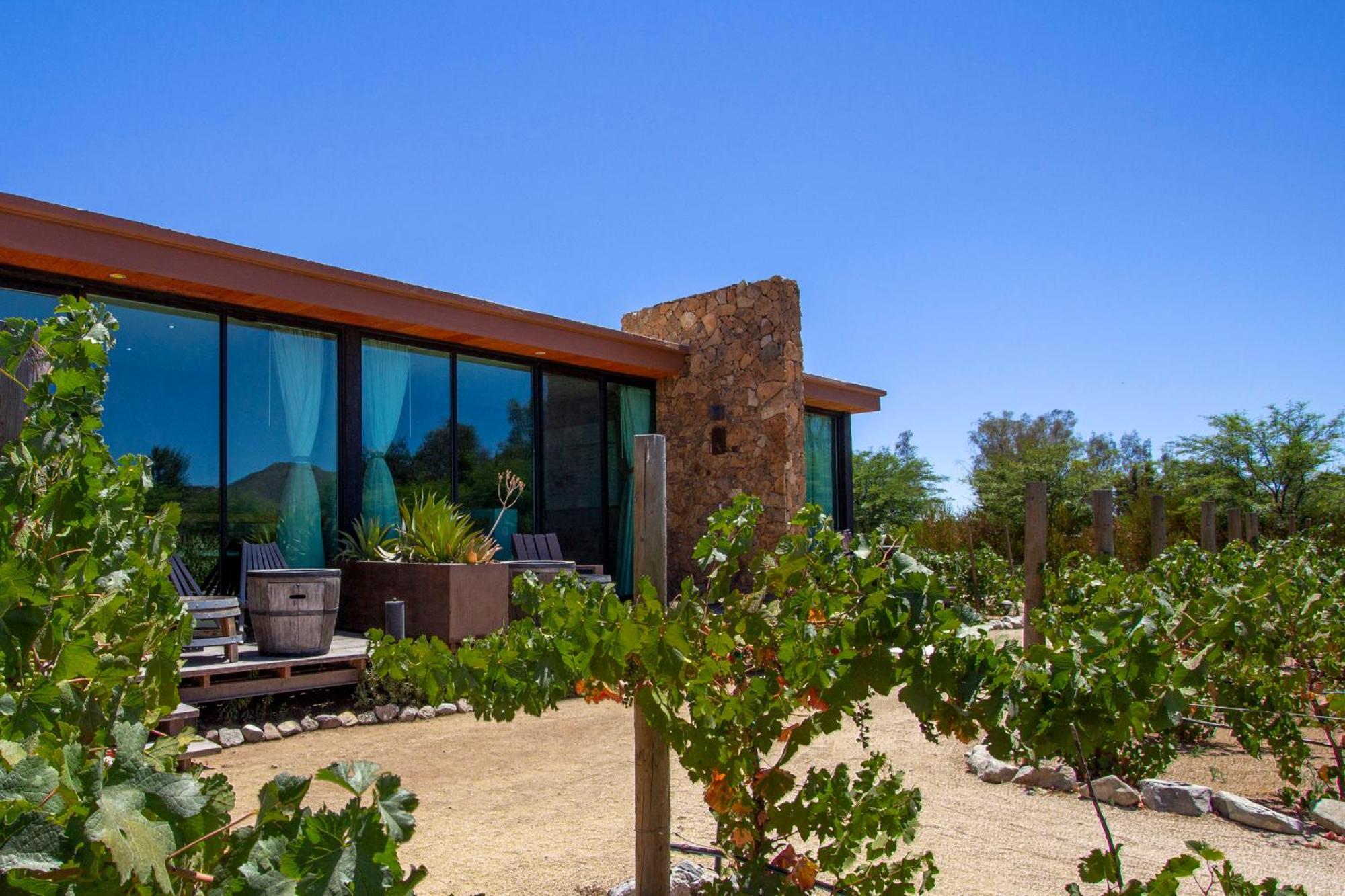 Hotel Boutique Valle De Guadalupe & Spa Cameră foto