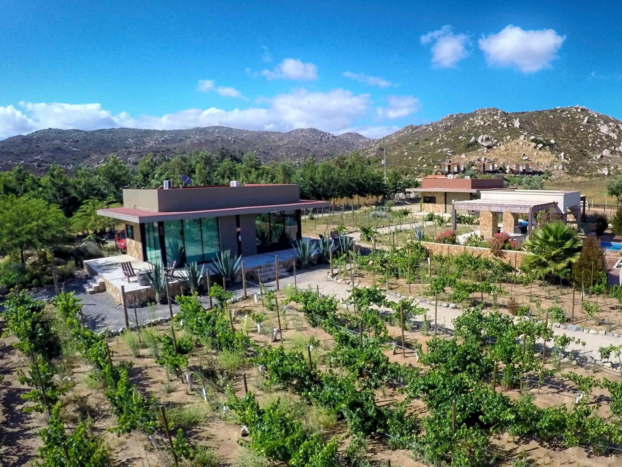 Hotel Boutique Valle De Guadalupe & Spa Cameră foto