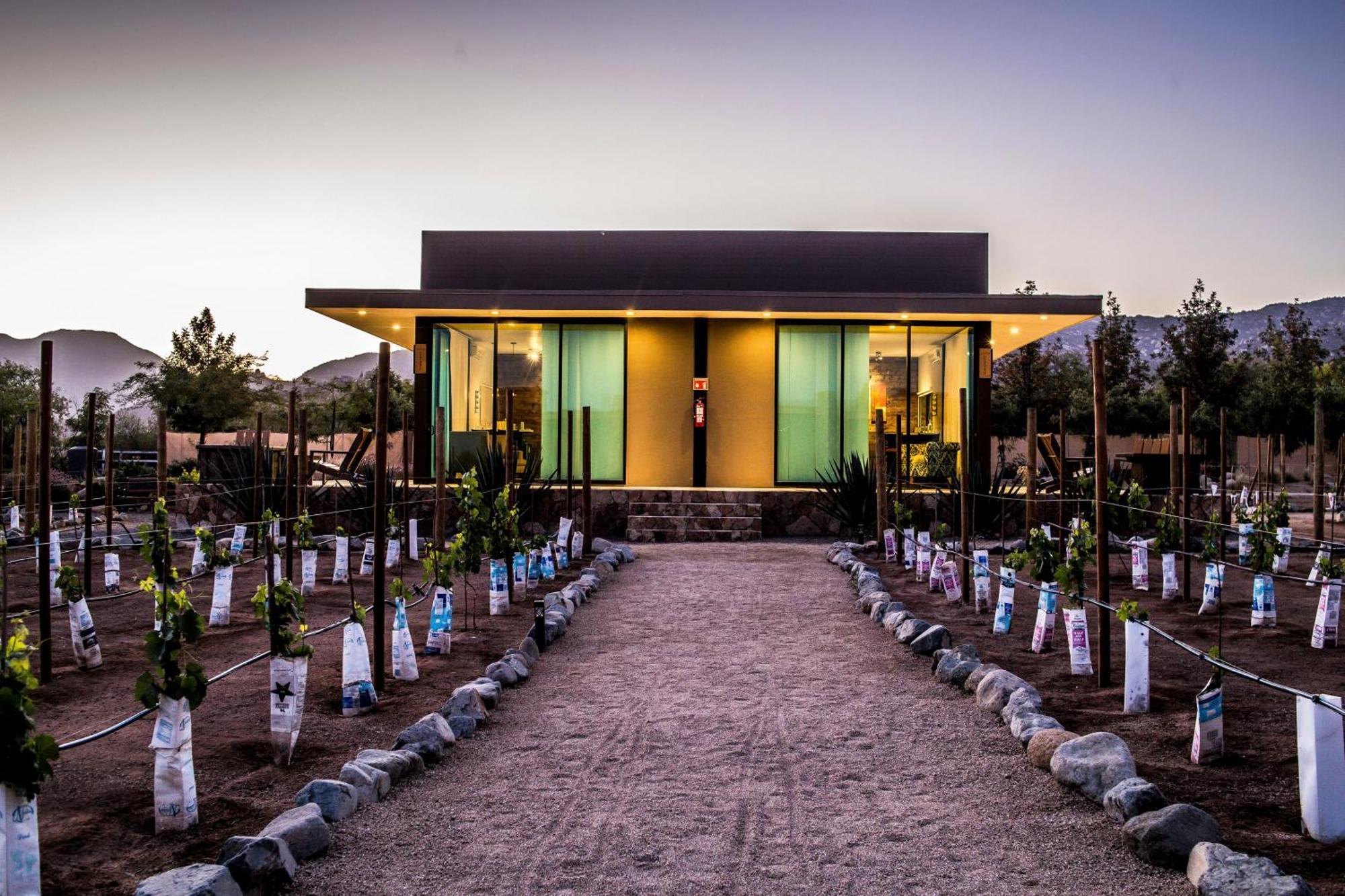 Hotel Boutique Valle De Guadalupe & Spa Cameră foto